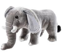 Misanimo, elefante in piedi