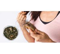 Miscela di erbe Stop Hair Loss - fieno greco, bardana e ortica, 100 g.