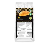 Miscela special lievito free 1 kg