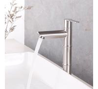 Miscelatore Lavabo Alto Spazzolato Rubinetto Monocomando Acqua Fredda Set Rubinetti Bagno in Acciaio Inossidabile,alto