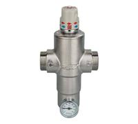 Miscelatore termostatico antiscottatura River Ecosan 1 1/4 ottone RP304DN32