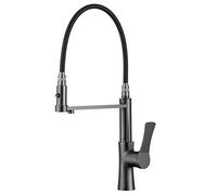 Miscelatori monocomando girevoli, Rubinetto da cucina in ottone, doccetta estraibile, filtro for l'acqua, girevole a 360°, maniglia singola, grigio canna di fucile(C)