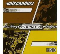 Misconduct - Building Bridges