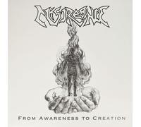 Miscreance From awareness to creation (Vinyl LP)