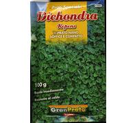 MISCUGLI ED ESSENZE DI SEME DA PRATO DI VARIE TIPOLOGIE E CONFEZIONI (DICHONDRA, 100 GRAMMI)