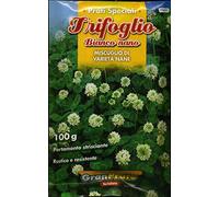 MISCUGLI ED ESSENZE DI SEME DA PRATO DI VARIE TIPOLOGIE E CONFEZIONI (TRIFOGLIO BIANCO NANO, 100 GRAMMI)