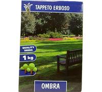 Miscuglio Prato Ombra 1kg - Semi per Zone Ombreggiate e Poca Luce - Copertura 50 m²