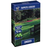 MISCUGLIO SEME PRATO OMBRA CONTINENTAL SEEDS