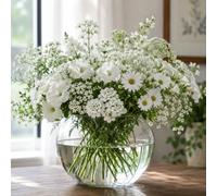 Miscuglio Semi di Fiori Bianchi 150 Semi - Fiori Attrattivi per Api e Farfalle, Mix Ornamentale per Aiuole, Giardino e Vaso