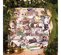 Mise En Scene - Still Life on Fire