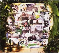Mise En Scene - Still Life on Fire