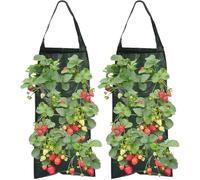 MisFun 2 Pezzi Vaso per Fragole, Appendere Sacco per Piantare, Borsa per Piantare con 8 Fori, Sacco per Piantare Patate, per Coltivazione Piantare Verdure Fiori Fragole a Casa Giardino Balcone