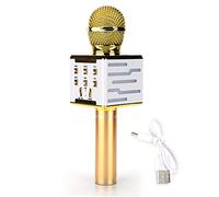 Miskall Microfono Karaoke Bluetooth Wireless, Microfono Altoparlante HIFI Bluetooth Wireless Mike con Dispositivo Audio Effetto Sonoro Riverbero DC5V