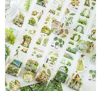 MisKepaa Journaling Kit for for Fiori, 6 Rolls PET Washi Tape Set, Transparent Tapes Sticker Erwachsene for Scrapbooking, Junk Journaling, Bullet Journal, Travel Journal (Green Oxygen Plan Series)