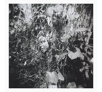 Mislock Tim - Now Is The Last Beat Time