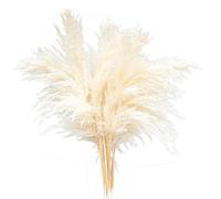 MISNODE 5 pezzi di erba secca pampa, erba artificiale da 40,5 cm, rami di erba pomposa, extra large, erba artificiale bouquet decorazione per la casa, bianco