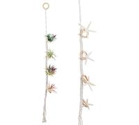 MISNODE Porta piante ad aria da appendere, Appendipiante per piante ad aria fatto a mano, Rastrelliera per piante con nappine in corda intrecciata Tillandsia fatta a mano, Divisorio con corda di