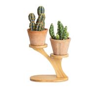 MISNODE Supporto per Piante in Legno Sul Tavolo, Davanzale della Finestra, Scrivania, Supporto per Vasi per Piante Succulente, Espositore per Piante, Supporto per Fioriera da Tavolo Conciso(2 livelli)