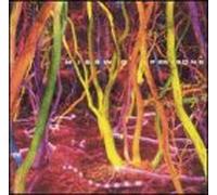 Missing Persons - Lost Tracks