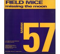 Missing The Moon