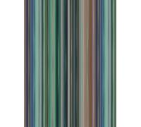 Missoni Home Carta da parati Riga Multicolor Verticale - 10181