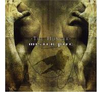 Mister Kite - The Hunger