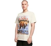 Mister Tee Alaska Vintage Oversize Tee T-Shirt, Sabbia, XXL Uomo