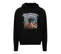 Mister Tee Felpa 'Days before Summer' blu chiaro / marrone / nero / bianco Uomo Mister Tee S