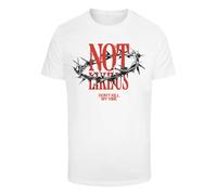 Mister Tee Maglietta 'Crown Of Thorns' greige / rosso sangue / nero / bianco Uomo Mister Tee XS greige / rosso sangue / nero / bianco