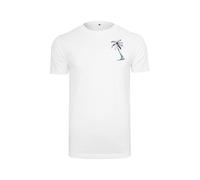 Mister Tee Maglietta 'Summer Vibes' menta / nero / bianco Uomo Mister Tee XS