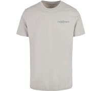 Mister Tee T-shirt The Classics Collection Tee MT3330 XXL Grigio