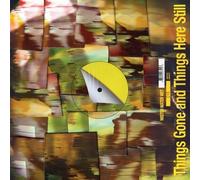 Mister Water Wet Things Gone and Things Here Still (Vinyl LP)