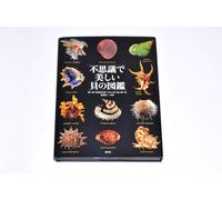 Misterioso e bellissimo libro fotografico giapponese Shell encyclopedia 2015 ...