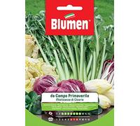 Mistic. Cicorie Campo Primavera