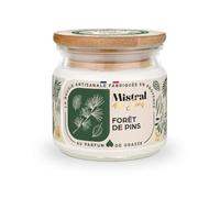 Mistral des Sens Candela profumata artigianale foresta di pino 40 ore 150ml