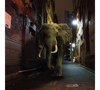 Misty Conditions - D'Zzzz