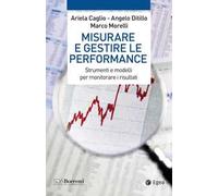 Misurare e gestire le performance. Strumenti e modelli per monitorare i risultati