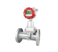 Misuratore di portata del gas naturale con uscita RS485 4-20 mA Misuratore di portata elettromagnetico for metano, ossigeno, azoto Letture precise(DN20)