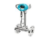 Misuratore di portata dell'acqua, Flussometro for Gas, Flussometro for Azoto, Flussometro a Compensazione Stabilizzata for Vapore