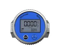 Misuratore di portata digitale Indicatore elettronico Contatore sensore(DN20mm)