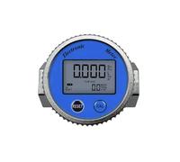 Misuratore di portata digitale Indicatore elettronico Contatore sensore(DN20mm)