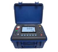 Misuratore di Resistenza, ES3035E+ ES3035+ Digital Megohmmeter Transformer Motor Insulation Resistance Testers Ohm Range 0.01MΩ～2000GΩ 10KV Outdoor(ES3035E)