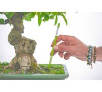 Misuratore di umidità per bonsai e piante - asta 18cm