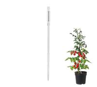 Misuratore di umidità per piante, sensore multiuso riutilizzabile | Sensore di umidità del suolo, senza batteria, per interni ed esterni, casa, balcone, cortile, prato, bonsai, verdure, frutta