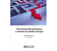 Misurazione della performance e strumenti di controllo strategico