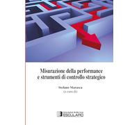Misurazione della performance e strumenti di controllo strategico