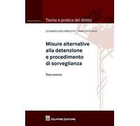 Misure alternative alla detenzione e procedimento di sorveglianza