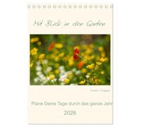 Mit Blick in den Garten (Tischkalender 2026 DIN A5 hoch), CALVENDO Monatskalender: Der Garten, voll mit farbenfrohen, duftenden Blumen durch das Jahr!