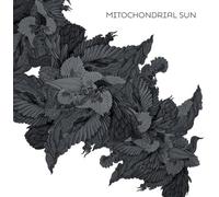 Mitochondrial Sun - Mitochondrial Sun