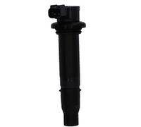 Mitsubishi Yamaha Mt-09 2015-2016 Ignition Coil Argento
